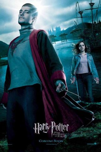 دانلود فیلم Harry Potter and the Goblet of Fire 2005 با کیفیت Full HD